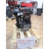 MOTOR LOMBARDINI LDW502 M3 CARTER ALUMINIO