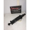 AMORTIGUADORES TRASEROS LIGIER AMBRA