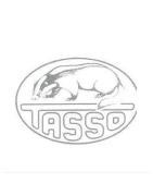 TASSO